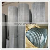 welded wire mesh (30 years factory)