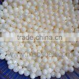 American Mississippi River Shell Pearl Nucleus for Pearl Culturing