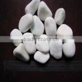 Snow White Garden Pebbles for Sale Cobble Stone Mat thumbnail-1
