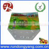 Resealable Printing Fruit Plastic Packaging Bags thumbnail-1