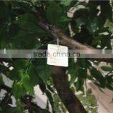 Home Garden Deco 50cm to 400 cm Hight Artificial White Large Chinese Wistaria EDHS1501 1607 thumbnail-5