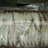 Katti Fish thumbnail-2