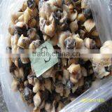 Best Seafood Market/wholesale Conch Shell thumbnail-1
