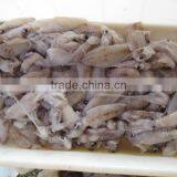 Frozen Squid (puntilla Calamar) thumbnail-1