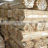 Eucalyptus Wood Handle for Garden Tool thumbnail-6