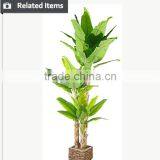 Indoor Home Decorative Artificial Bonsai Tree for Sale and for Hotel and House Landscape thumbnail-4