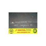 H300PD+Z Galvanized Steel Plate - Xinsteel thumbnail-1