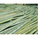 Farm Supply Shanzhu, Bamboo thumbnail-1