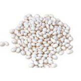 PA600 High Performance Flame Retardant Masterbatch