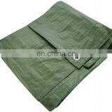 12 x 8ft Tarpaulin - Oliver Green thumbnail-1