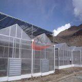 Agricultural Polycarbonate Greenhouse Agricultural Glass Greenhouse thumbnail-2