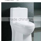 Bathroom Sanitary Ware One Piece Structure WC toilet