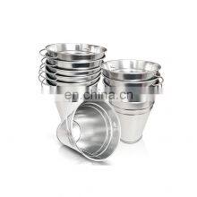 Promotional Luxury Elegant Style Galvanized Durable Metal Pineapple Champagne Beer Clear Ice Pail 6l thumbnail-5