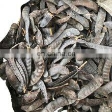 Dried Gleditsia/Caesalpinioideae/boket From Vietnam thumbnail-1