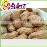 Roasted Peanuts With Shell thumbnail-1