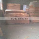 Red beech core wood veneer for furniture