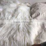 2015 New hot -sell long hair sheep skin for coat