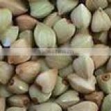 Hulled buckwheat kernel/groats buckwheat rice manufacturer