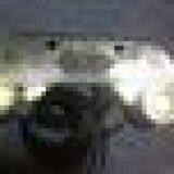 High Quality Stainless Steel 316 Led Trim Tab Lights (18W) IP68 thumbnail-2