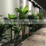 Shop Decor Artificial Tree Plants Projects thumbnail-4
