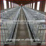 Hot Sale Commercial PVC Pig Farm Equipment Pig Farrowing Crate thumbnail-6