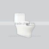 VIGLACERA 1 Piece Toilet S Trap thumbnail-5