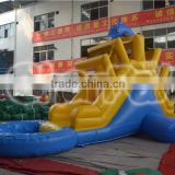 commercial dolphin water slide with pool , inflatable water slide for kid and adult