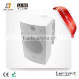 5.25 Inch Active Outdoor Indoor Wall Speaker