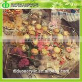 DDX-0209 Trade Assurance Clear Acrylic Cupcake Display Case
