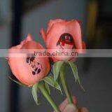 Flower Printers With PC Touch Screen Display Smart Operation thumbnail-3
