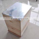 Apis Cerana Beehive thumbnail-4