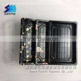 SM1-1108A Momiji Plastic Blister Serving Sushi Tray thumbnail-1