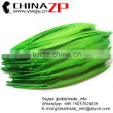 Leading Supplier CHINAZP Factory Bulk Sale Wonderful Quality Dyed Green Duck Pointer Feathers
