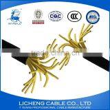 30*1.0mm2 Pvc Insulated Pvc Sheathed Kvv/kvvp Control Cable