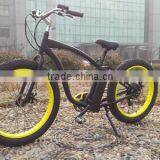Best Selling Chinese Electric Bike 500W thumbnail-2