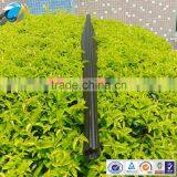 Explosion Models Carbon Fiber Spearfish Gun Barrels thumbnail-3