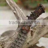 Doshower Hunting Knives Damascus With Gift Packaging of Daily Use Items thumbnail-4