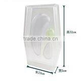 Anatomical Plant Model