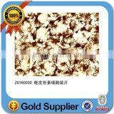 Amoeba Slides Parasitology Prepared Slides in Set