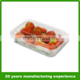 300g clear plastic apple fruit packaging boxes