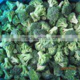 Health Food Halal Food Quick Frozen Broccoli thumbnail-5