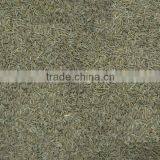 Europe Quality Indian Cumin Seed thumbnail-4