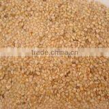 Sesame Seed From Gujarat Origin New Crop Harvested thumbnail-1