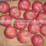 Fresh Qinguan Apple thumbnail-4