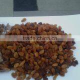 Dried Malyar Raisin thumbnail-1