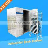 Commercial Ice Cream Blast Freezer,tray Type Flash Freezer thumbnail-1