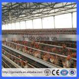 Canton Fair Chicken Layer Cage and Poultry Equipment Supplier Manufacturer (Guangzhou Factory) thumbnail-2