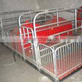 Pig Farming Equipment For Pig Farrow Crates thumbnail-4