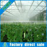 Customized Commercial Walk in Plastic Film High Tunnel Greeenhouse thumbnail-1