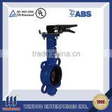 BS DN4 PN17 Butterfly Valve thumbnail-3